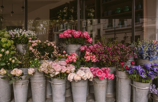 Blumenladen eröffnen-alisa-anton-unsplash