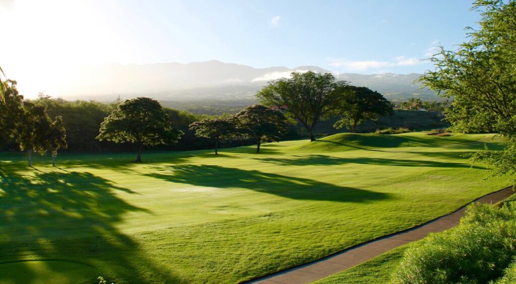 Cuánto consumen los campos de golf (c) pexels.com