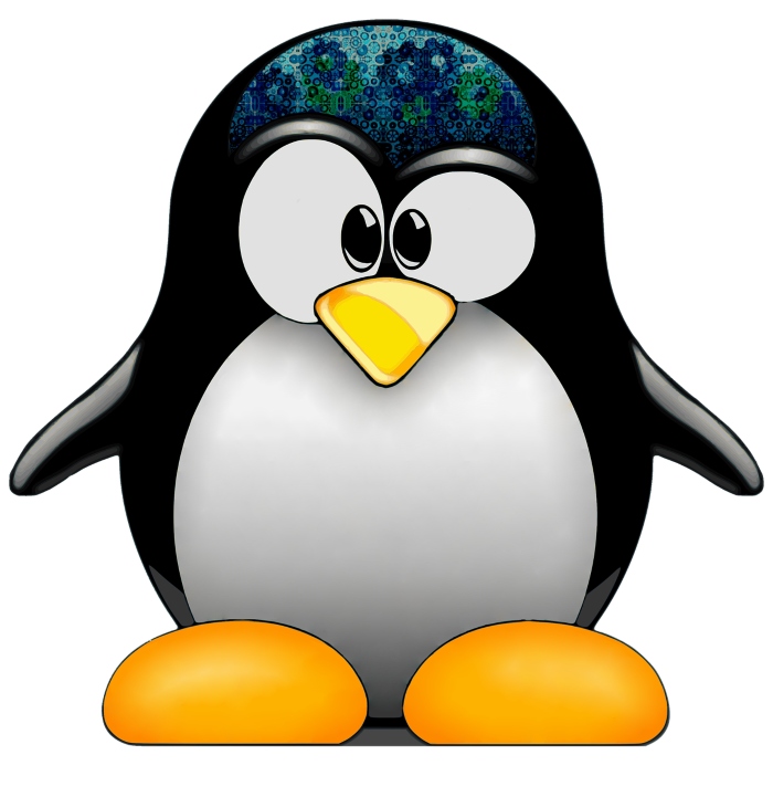 Software TPV compatible con Linux y Ubuntu (c) pixabay.com
