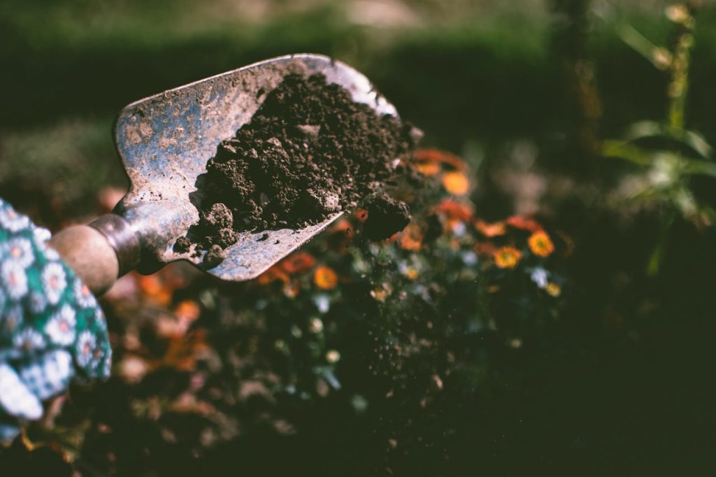 5 Ideas para atraer clientes a un negocio de jardinería (c) pexels.com