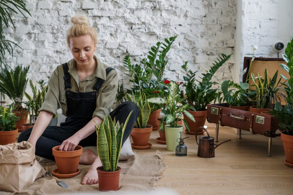 ¿Cómo conseguir clientes para un negocio de jardinería? - 5 formas para conseguir clientes (c) pexels.com