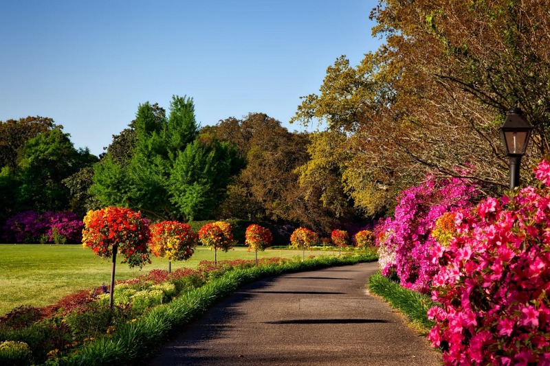 Mantenimiento de jardines residenciales y comerciales (c) pexels.com
