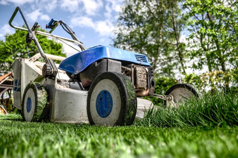 Qué se necesita para abrir un negocio de jardinería (c) pixabay.com